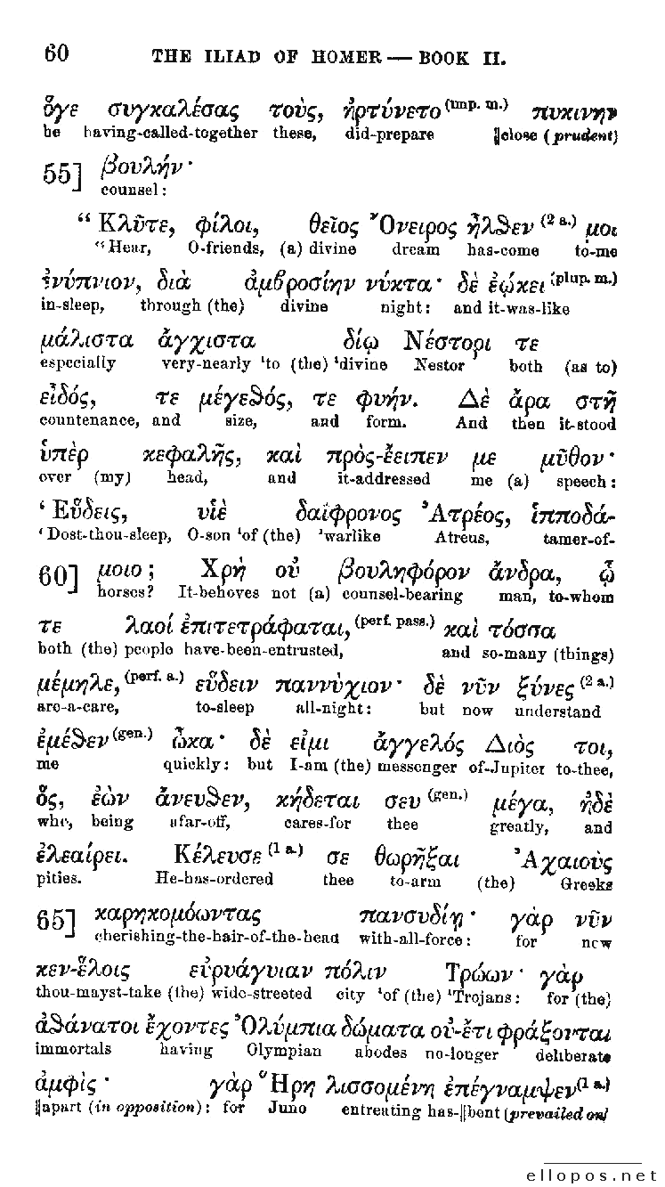 Homer Interlinear Iliad - Page 60
